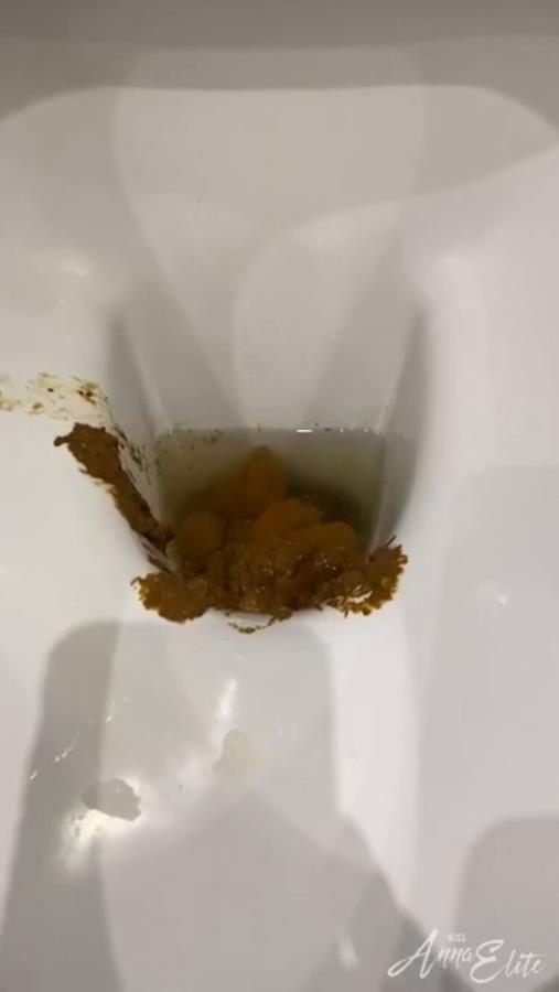 A big pile of shit in the toilet. P1 - HD