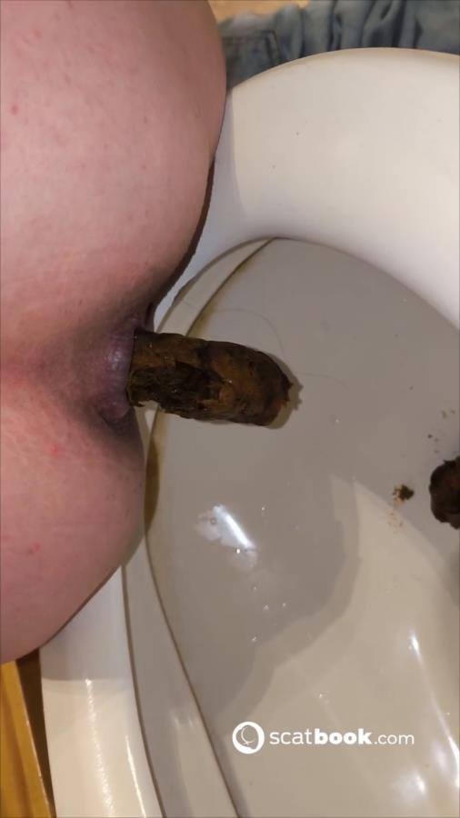 Fast wc-darkfans - SD