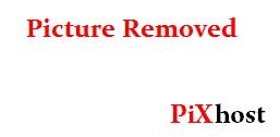 PLBZ – The ass of the human toilet must be punished in order to work properly - HD