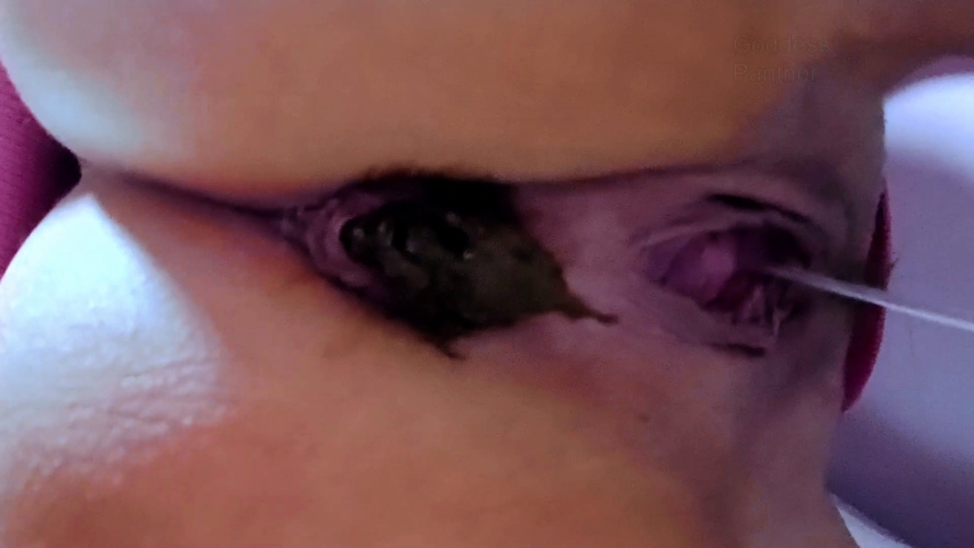 Obsessed With Huge Shit - FullHD  - (Actress: thefartbabes 2025)