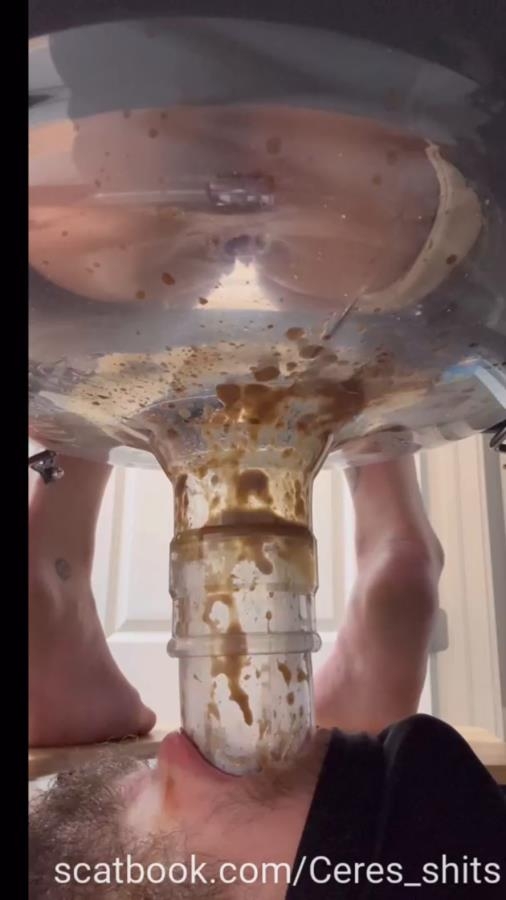 A Day of Shitting Down My Toilet's Throat P1 - SD