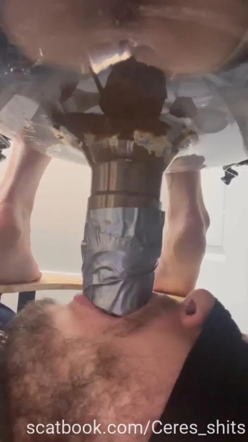 Toilet Annihilation with Goddess Ceres P1 - SD