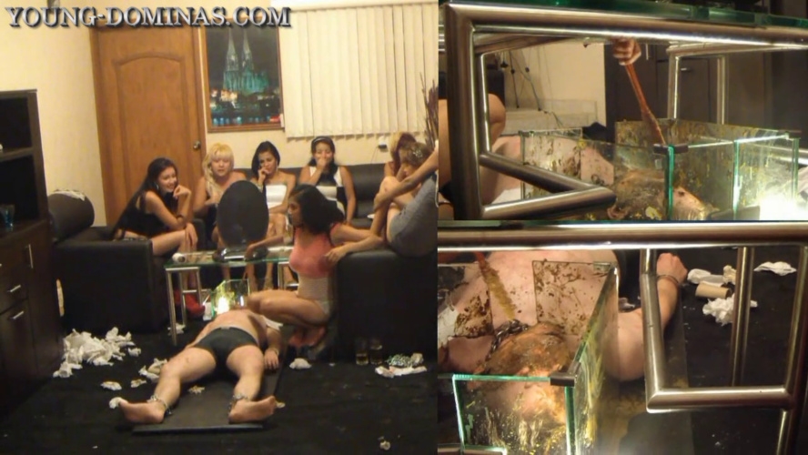 Sorry Slave, you stay, until you swallowed all the Shit Part 10 HD. P1 - HD  - (Actress: Young Dominas 2025)