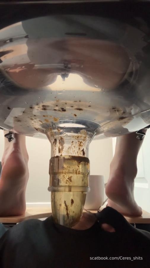 2025-11-03 - My Diarrhea Recepticle - SD  - (Actress: Goddess Ceres 2025)