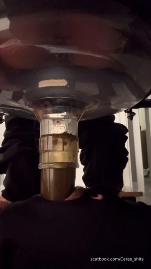 Goddess Ceres-2025-10-19 - Toilet Swallows All My Waste For The Day - SD