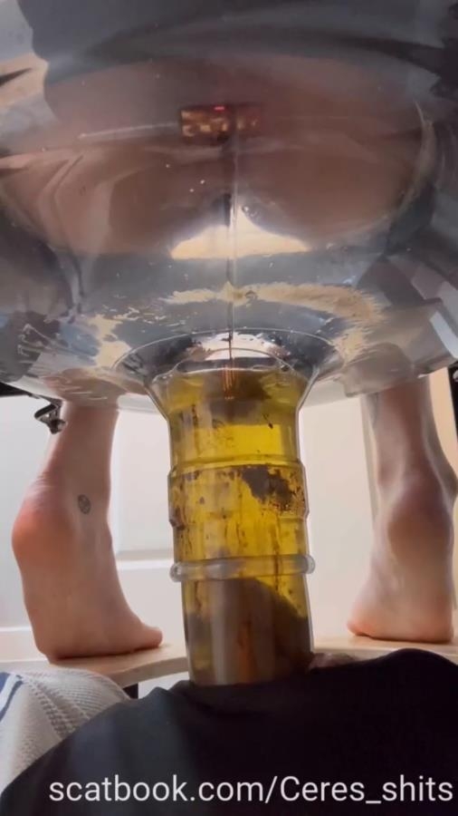 2025-10-05 - Only Waste For A Week Full Time Septic Ta - SD  - (Actress: Goddess Ceres 2025)