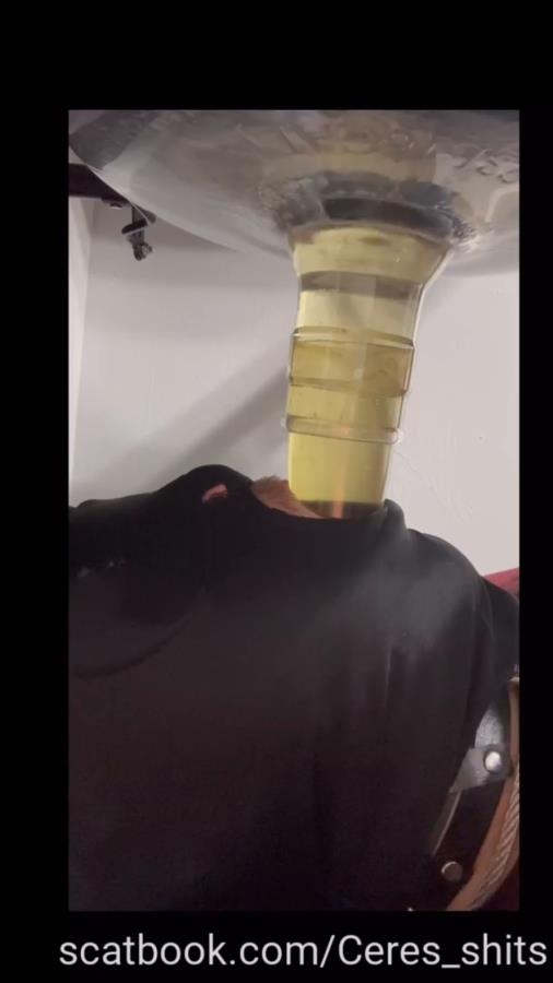 2025-10-10 - Only Waste For A Week Full Time Septic Ta - SD  - (Actress: Goddess Ceres 2025)