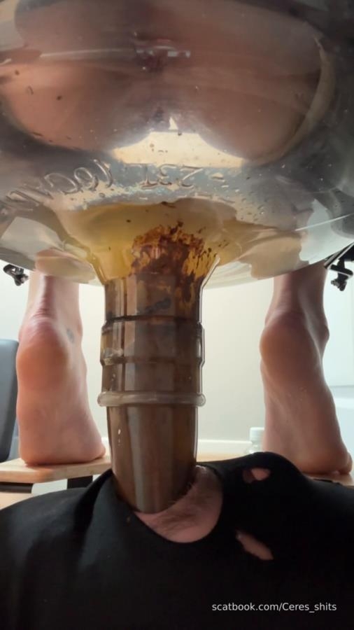 2025-12-05 - Haha Suffer Loser Swallow My Load - SD  - (Actress: Goddess Ceres 2025)