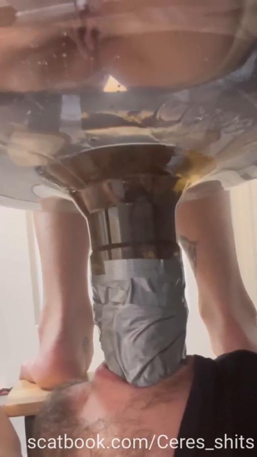 A Full Day Of Humiliation Hiking With A Toilet - SD  - (Actress: Goddess Ceres 2025)