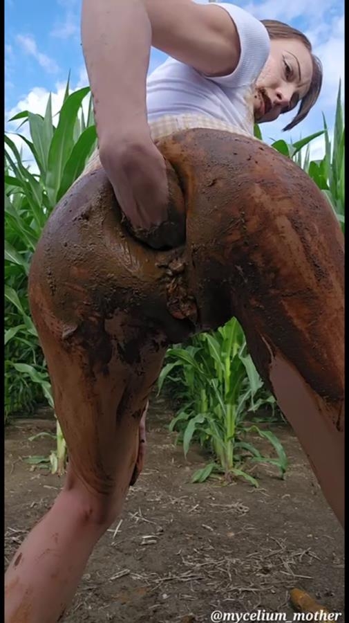 The A-maize-ing Mycelium mother - SD  - (Actress: Mycelium Mother 2025)