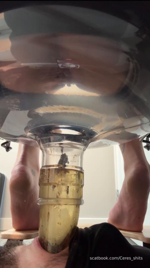 Five Levels of Shit » Mixfemdomcc - Latest Femdom Porn for Online Streaming - SD  - (Actress: Goddess Ceres 2025)