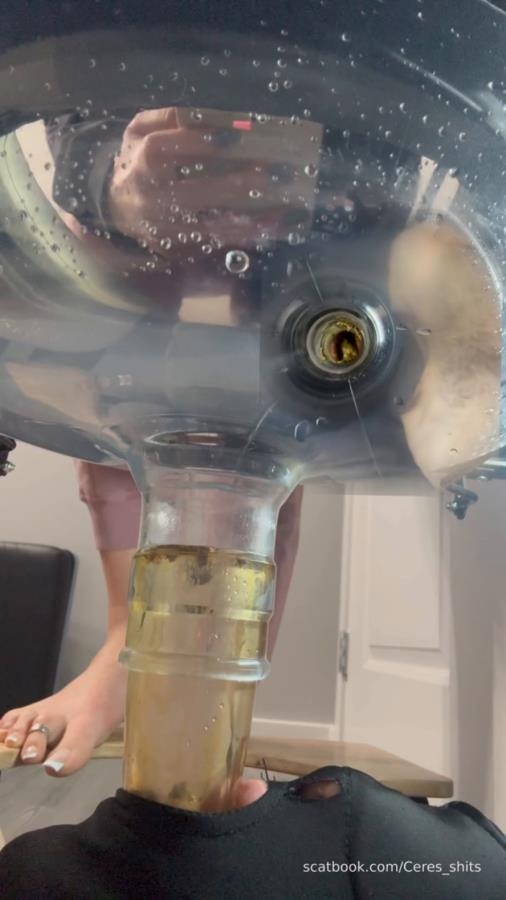 Septic Tank Almost Fails » Mixfemdomcc - Latest Femdom Porn for Online Streaming - SD  - (Actress: Goddess Ceres 2025)