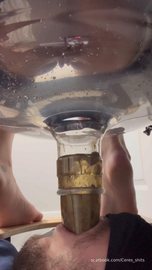 Human Toilet's First Malfunction Infinite Shit Down Your Throat » Mixfemdomcc - Latest Femdom Porn for Online Streaming - SD  - (Actress: Goddess Ceres 2025)