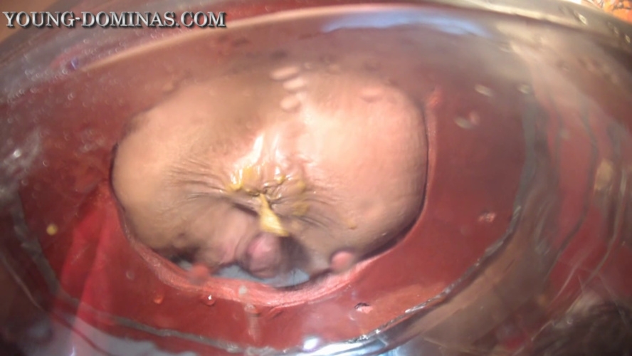 The Poop Barril Part 3 HD. P1 - HD