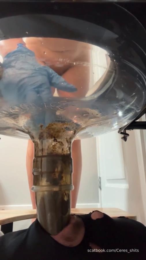 24 Minutes of Daily Toilet Slave Destruction P1 - SD