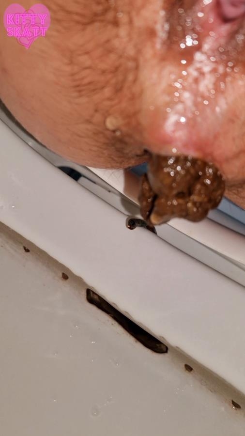 Four unflushable logs - SD