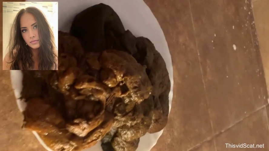 A huge pile of shit goes into the toilet. P1 - HD