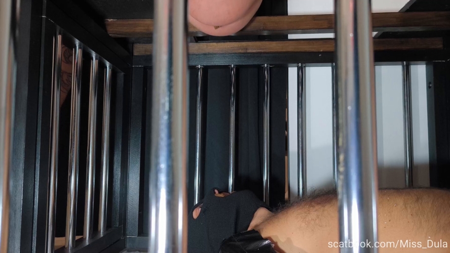 My Poop In His Mouth » Mixfemdomcc - Latest Femdom Porn for Online Streaming - FullHD  - (Actress: MISS DULA 2026)