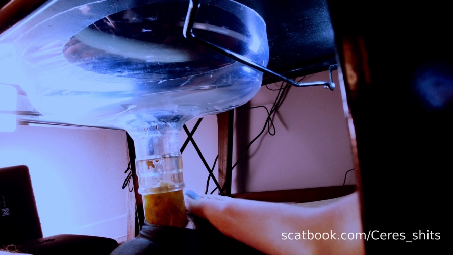 A Private Session with My Toilet - FullHD
