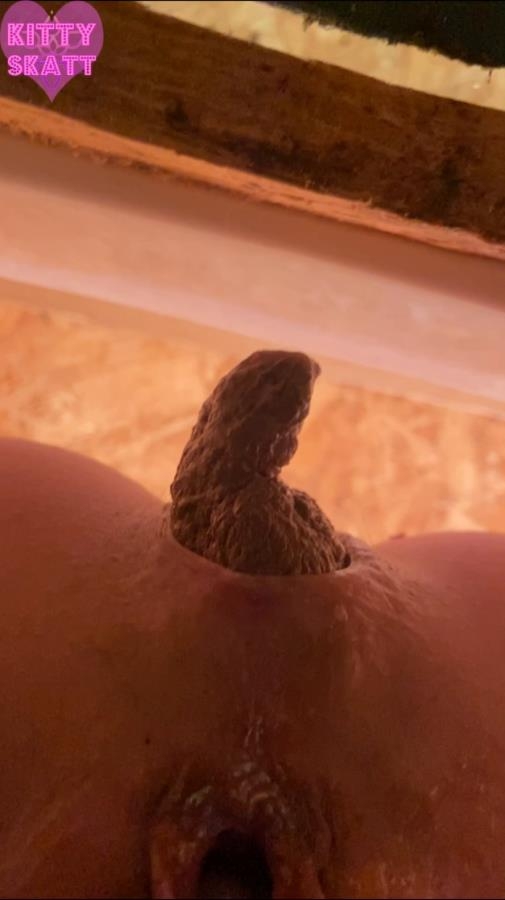POV hookup in festival toilet - SD  - (Actress: Kitty Skatt 2026)