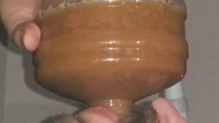 Chugging LITERS of my poop-flavored pee - HD  - (Actress: SSBBW Queen Siya 2026)