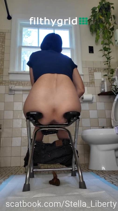 Number Two with the Toilet Chair - SD